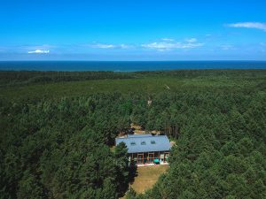 Budynek o szarym dachu i dużych oknach stoi pośrodku gęstego lasu iglastego. Wokół widać wysokie drzewa, a za nimi rozciąga się szeroka linia niebieskiego morza. Na pierwszym planie jasny fragment polany przed budynkiem. Na horyzoncie błękitne niebo z kilkoma białymi chmurami.